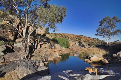 Mannum Falls24.jpg