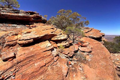 Rawnsely Bluff Hike Flinders Ranges South Australia_25.jpg