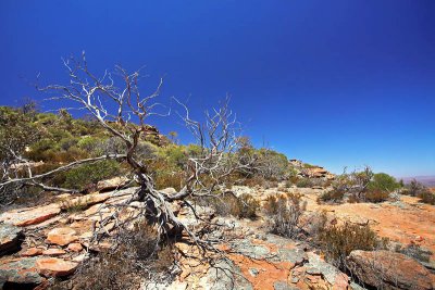 Rawnsely Bluff Hike Flinders Ranges South Australia_24.jpg