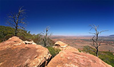 Rawnsely Bluff Hike Flinders Ranges South Australia_22.jpg