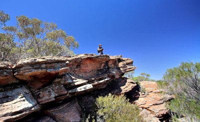 Rawnsely Bluff Hike Flinders Ranges South Australia_21.jpg