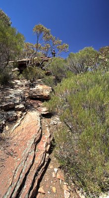 Rawnsely Bluff Hike Flinders Ranges South Australia_20.jpg
