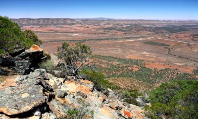 Rawnsely Bluff Hike Flinders Ranges South Australia_19.jpg