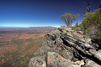 Rawnsely Bluff Hike Flinders Ranges South Australia_18.jpg