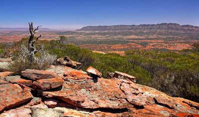 Rawnsely Bluff Hike Flinders Ranges South Australia_17.jpg