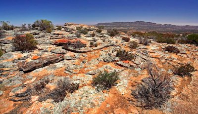 Rawnsely Bluff Hike Flinders Ranges South Australia_16.jpg