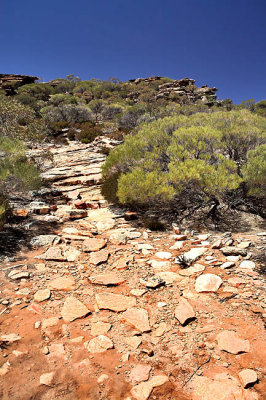 Rawnsely Bluff Hike Flinders Ranges South Australia_15b.jpg