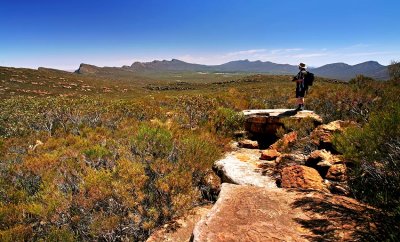 Rawnsely Bluff Hike Flinders Ranges South Australia_12b.jpg