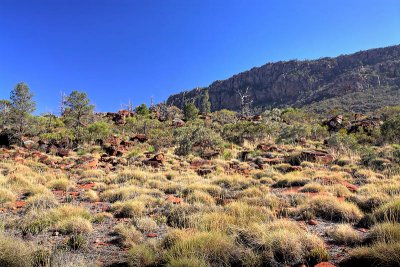 Rawnsely Bluff Hike Flinders Ranges South Australia_3.jpg