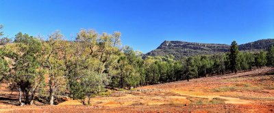 Rawnsely Bluff Hike Flinders Ranges South Australia_2.jpg