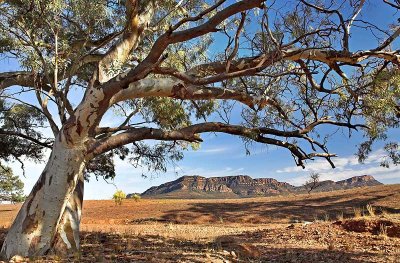 Wilpena Pound Flinders Ranges South Australia.jpg