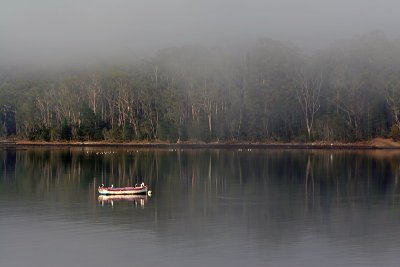 Misty Morning_3.jpg