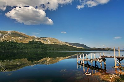 Lake Pedder3.jpg