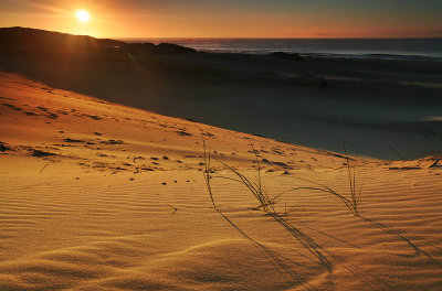 Peron Dunes Sunrise_4.jpg