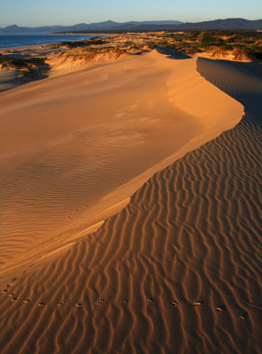 Peron Dunes Sunrise_16.jpg