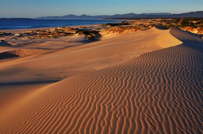 Peron Dunes Sunrise_25.jpg
