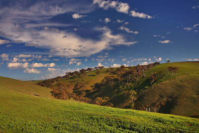 Myponga Hill.jpg