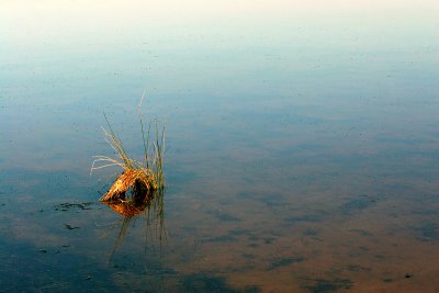 Moulting Lagoon_6.jpg