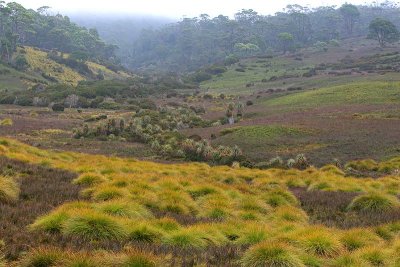 Cradle Valley Cradle Mt Tasmania Australia.jpg