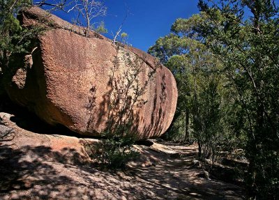 Wine Glass Bay Trail.jpg