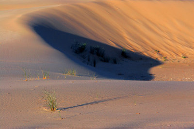 Peron Dunes Sunrise_27.jpg