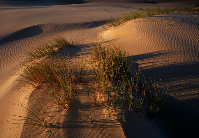Peron Dunes Sunrise_19.jpg