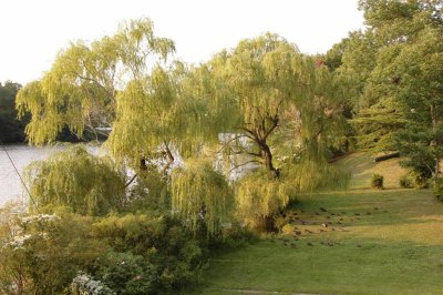 Fall2007 6.JPG