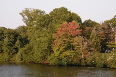 Fall2007.JPG