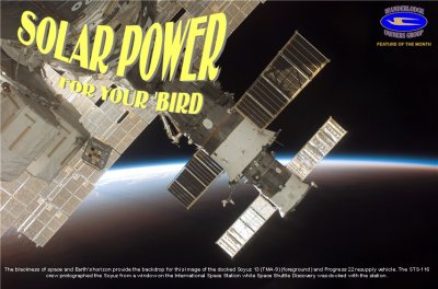 SOLAR POWER FOR YOUR BIRD, CLICK ON NEXT AT THE RIGHT TO SEE MORE PHOTOS AND INFORMATION