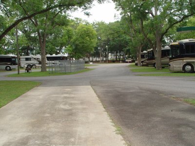 USED FOR SALE 'BIRDS ON THE RIGHT AND IN FOR SERVICE 'BIRDS ON THE LEFT