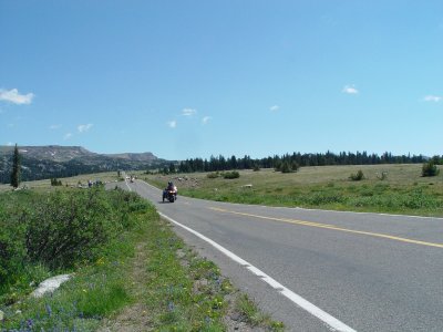 HERE IS ONE OF THE VERY FEW STRAIGHT STRETCHES OF ROAD ON BEARTOOTH PASS