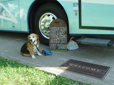 AFTER READING THIS SIGN, BUDDY CONTEMPLATES WHERE HE WILL MAKE HIS NEXT DEPOSIT