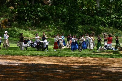 Learning the Hula