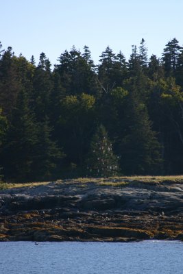 Bar Harbor 2007