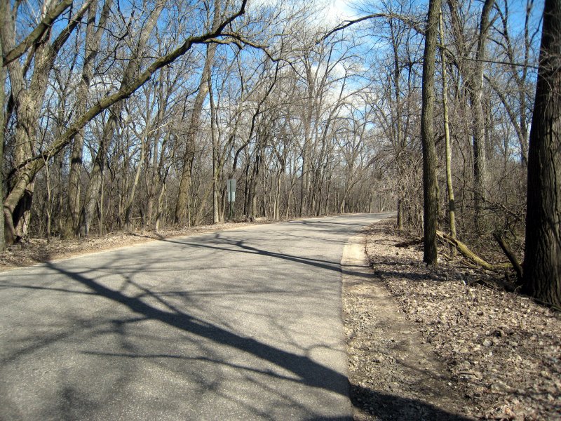 road through the Arb