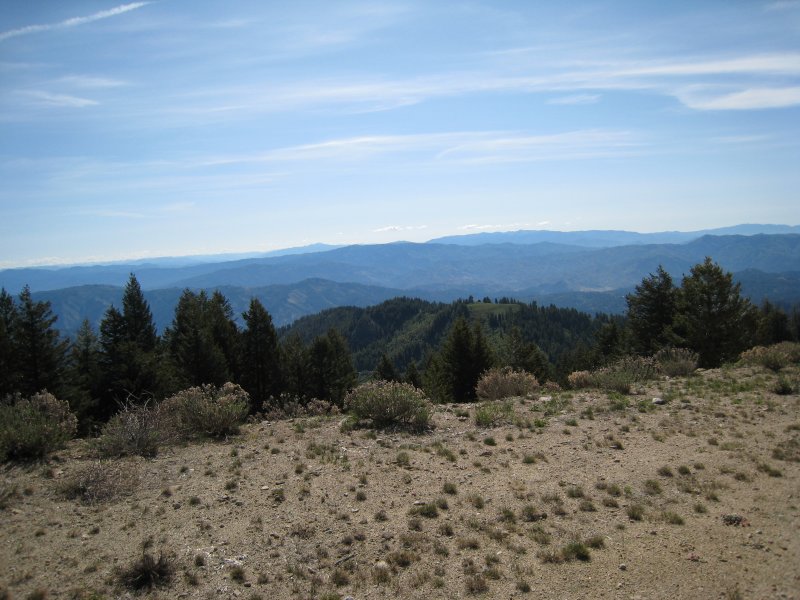 view