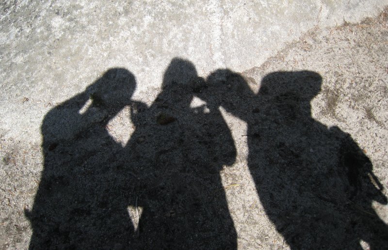 shadows