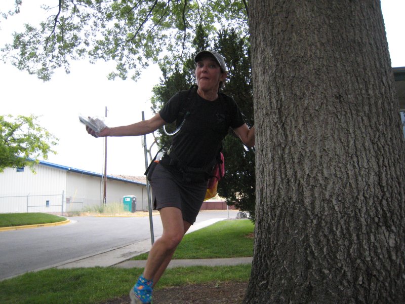 Karen touches the tree