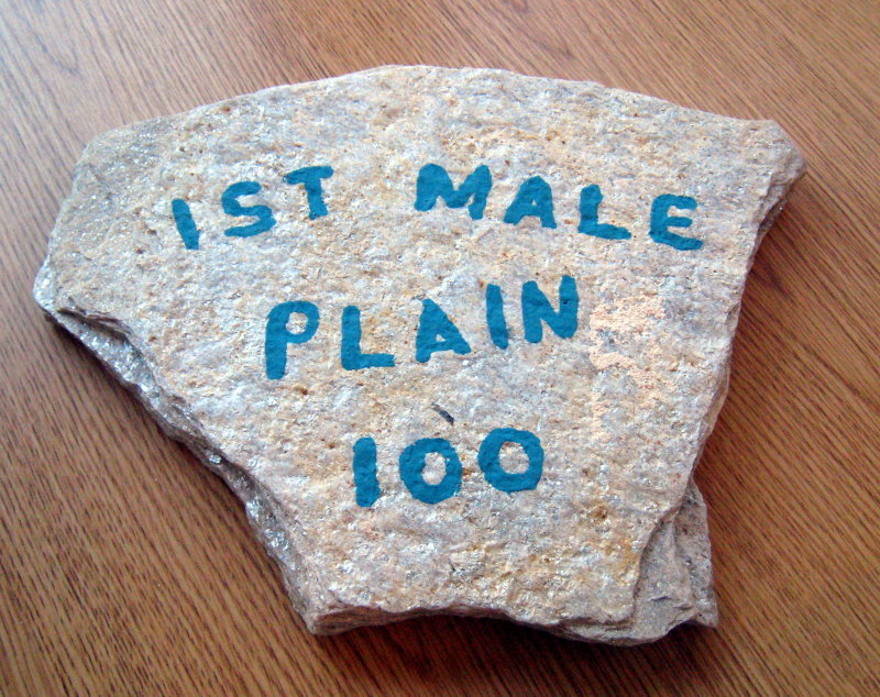 1st place Plain male (thats what it SHOULD say!)