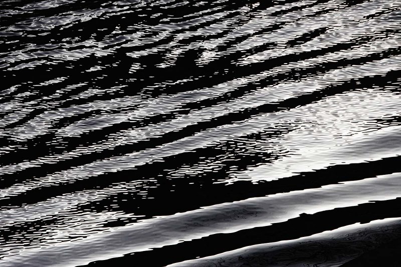 Light reflected off the canal