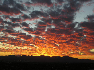 Tucson Sunsets
