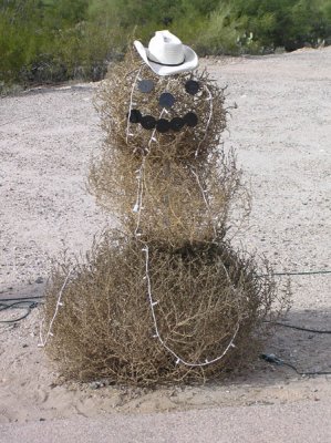 Tohono Chul Park