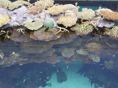 Oceanario de Lisboa