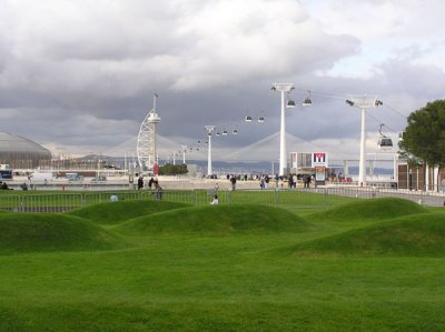 P1010102.jpg