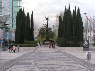 P1010128.jpg