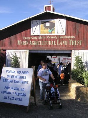 Livestock Exhibits