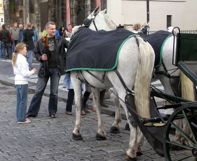 Horses at Old Town Square