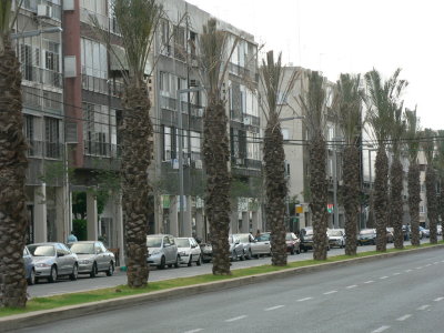 0706010141.JPG