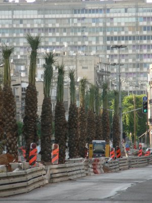 Roadworks in Ibn Gvirol Street, Tel-Aviv