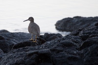 g6/81/513681/3/73391912.D9zXKS7I.jpg